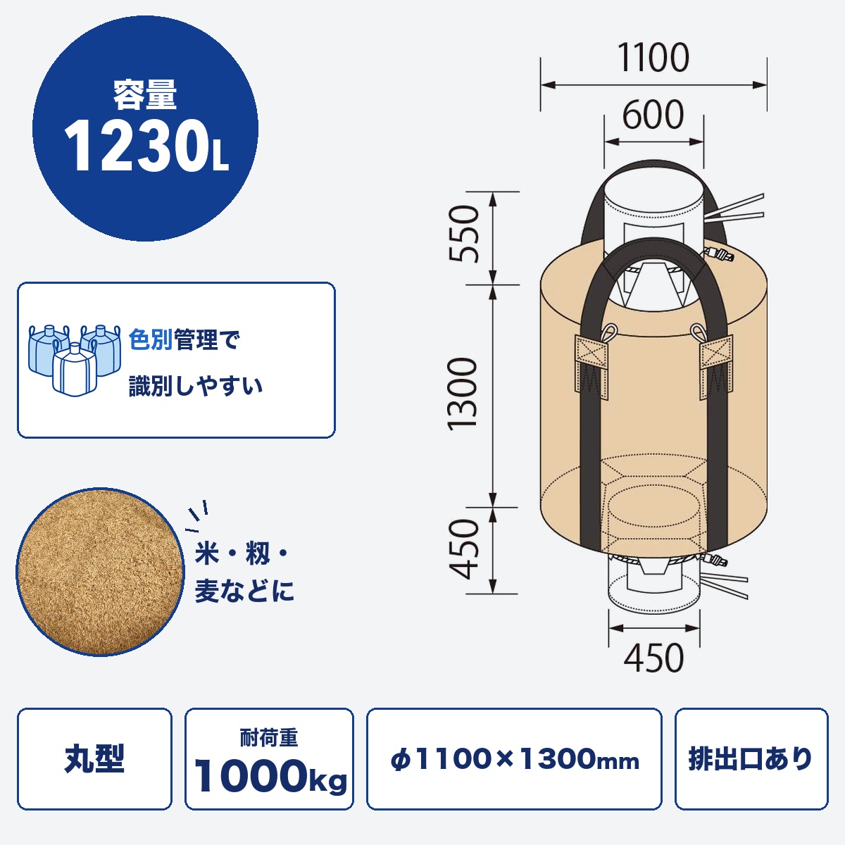 F31 NS-10B-Z